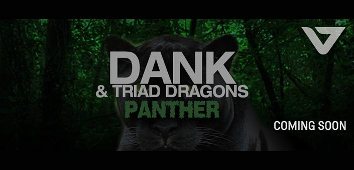 Dank & Triad Dragons: Pura energia sonora! Dank & Triad Dragons: Pura energia sonora!