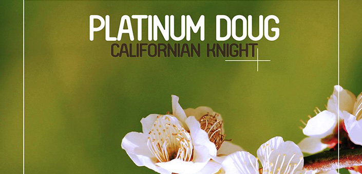 Platinum Doug: Nuove esaltati visioni sonore Platinum Doug: Nuove esaltati visioni sonore