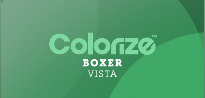Boxer: Sonorità Dark & Acid Boxer, Sonorità Dark & Acid