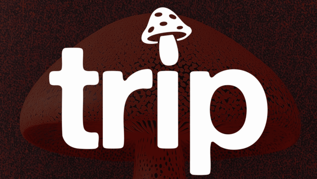 TRIP Ritorna al Chinois Ibiza: Tutto quello che devi sapere