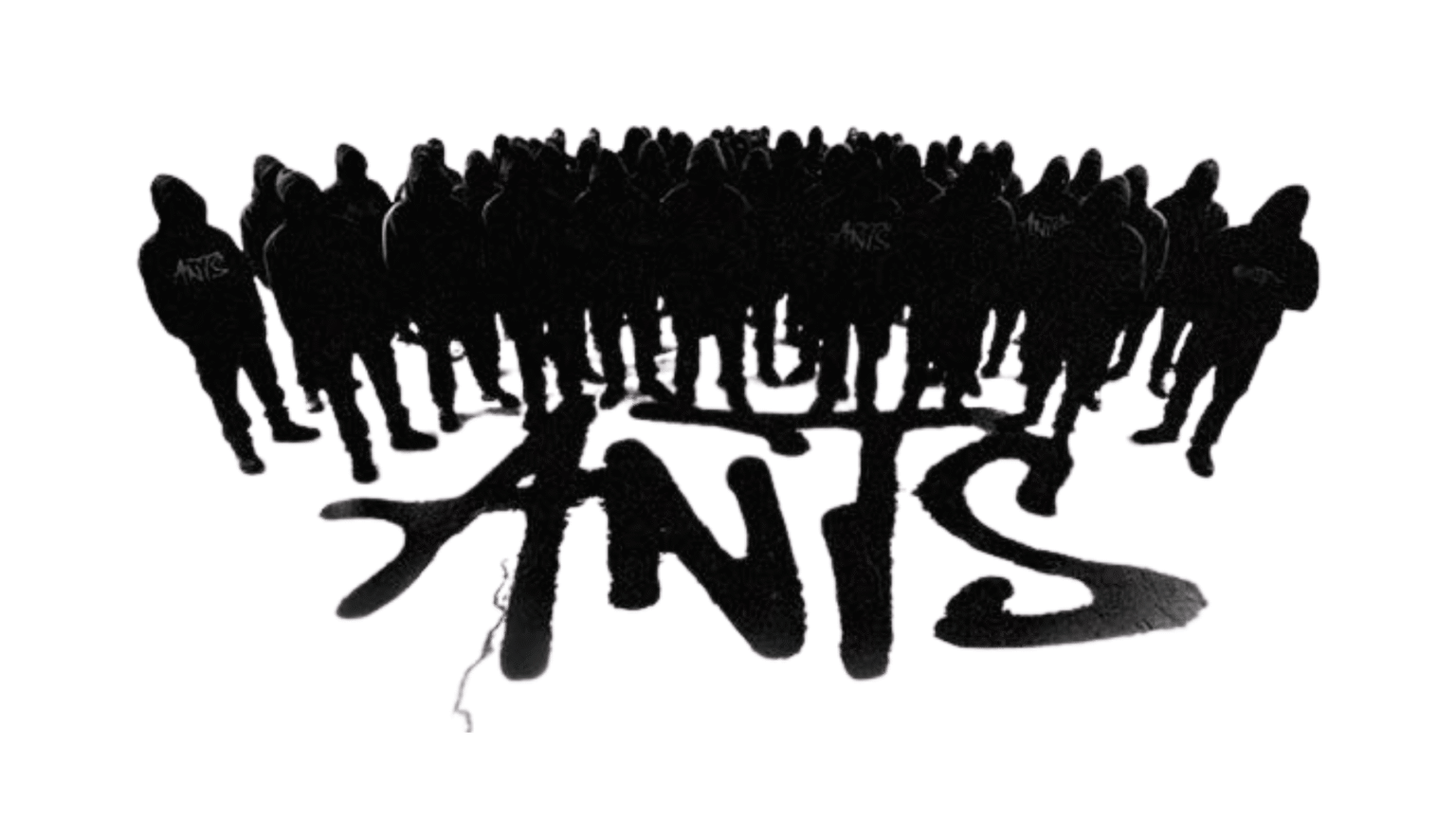 ANTS Ibiza 2026 all’Ushuaia: lineup confermate, date e biglietti